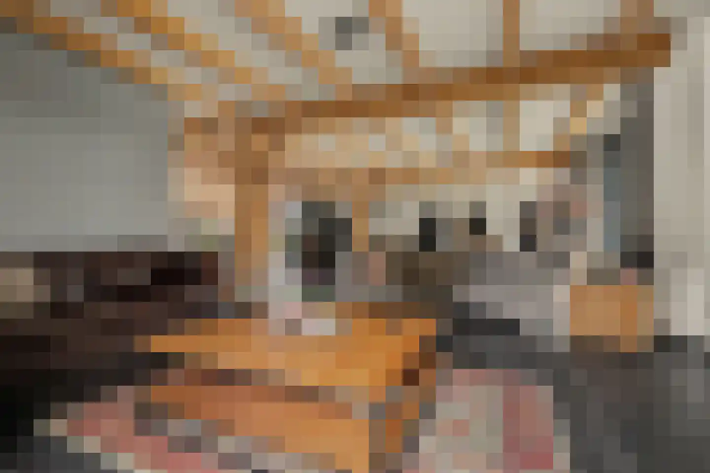 Geraniumstraat 42 Made thumbnail 18