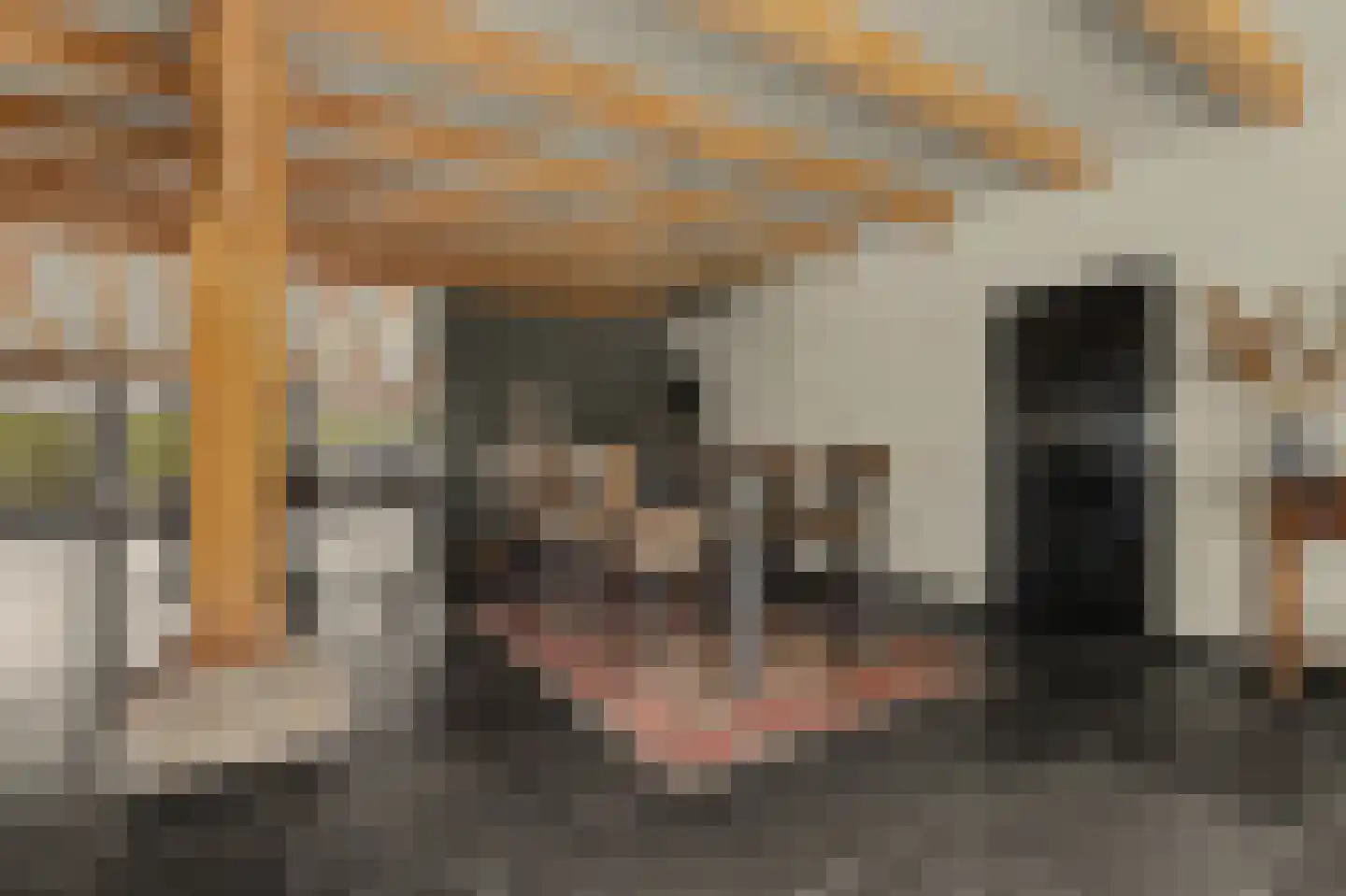 Geraniumstraat 42 Made thumbnail 21