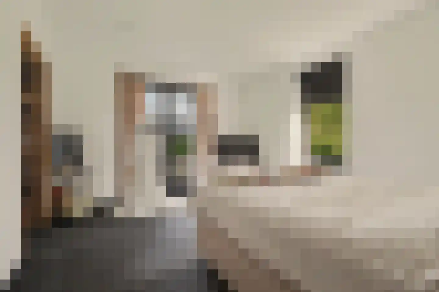 Geraniumstraat 42 Made thumbnail 22