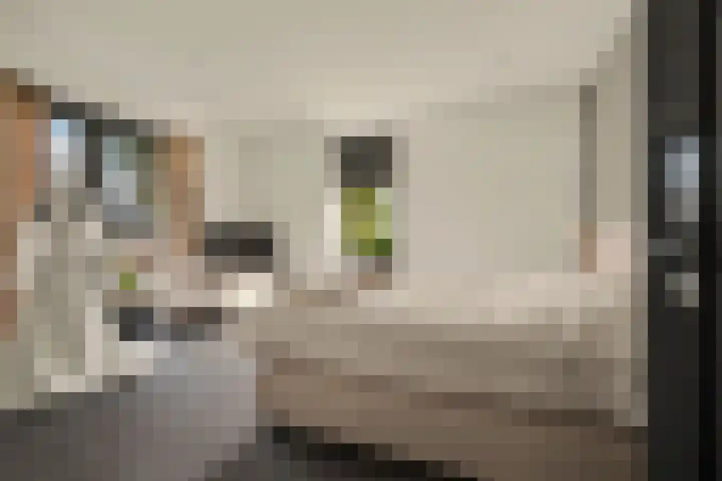Geraniumstraat 42 Made thumbnail 23