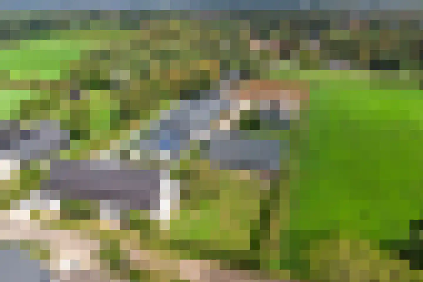 Geraniumstraat 42 Made thumbnail 4