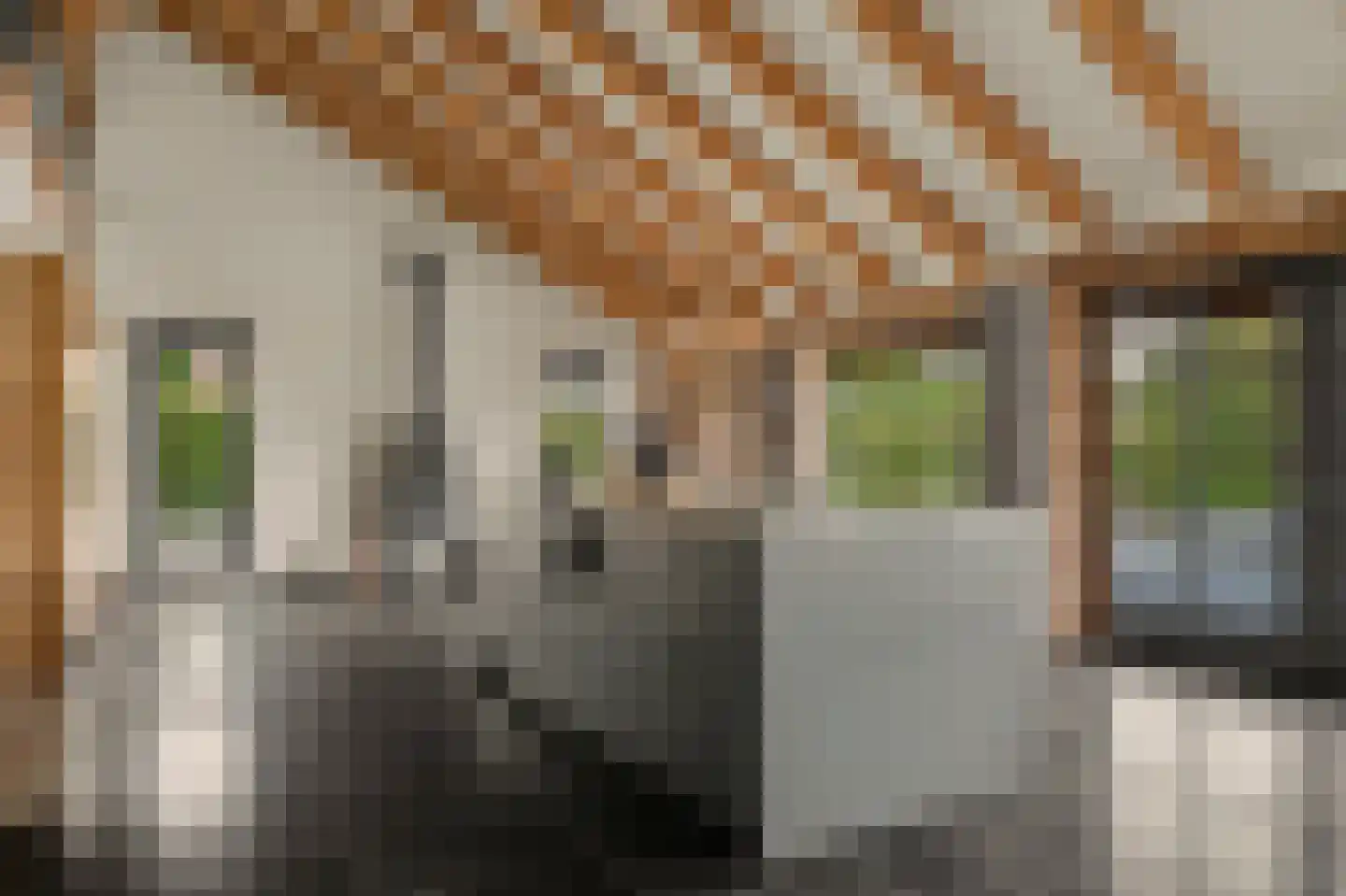 Geraniumstraat 42 Made thumbnail 9
