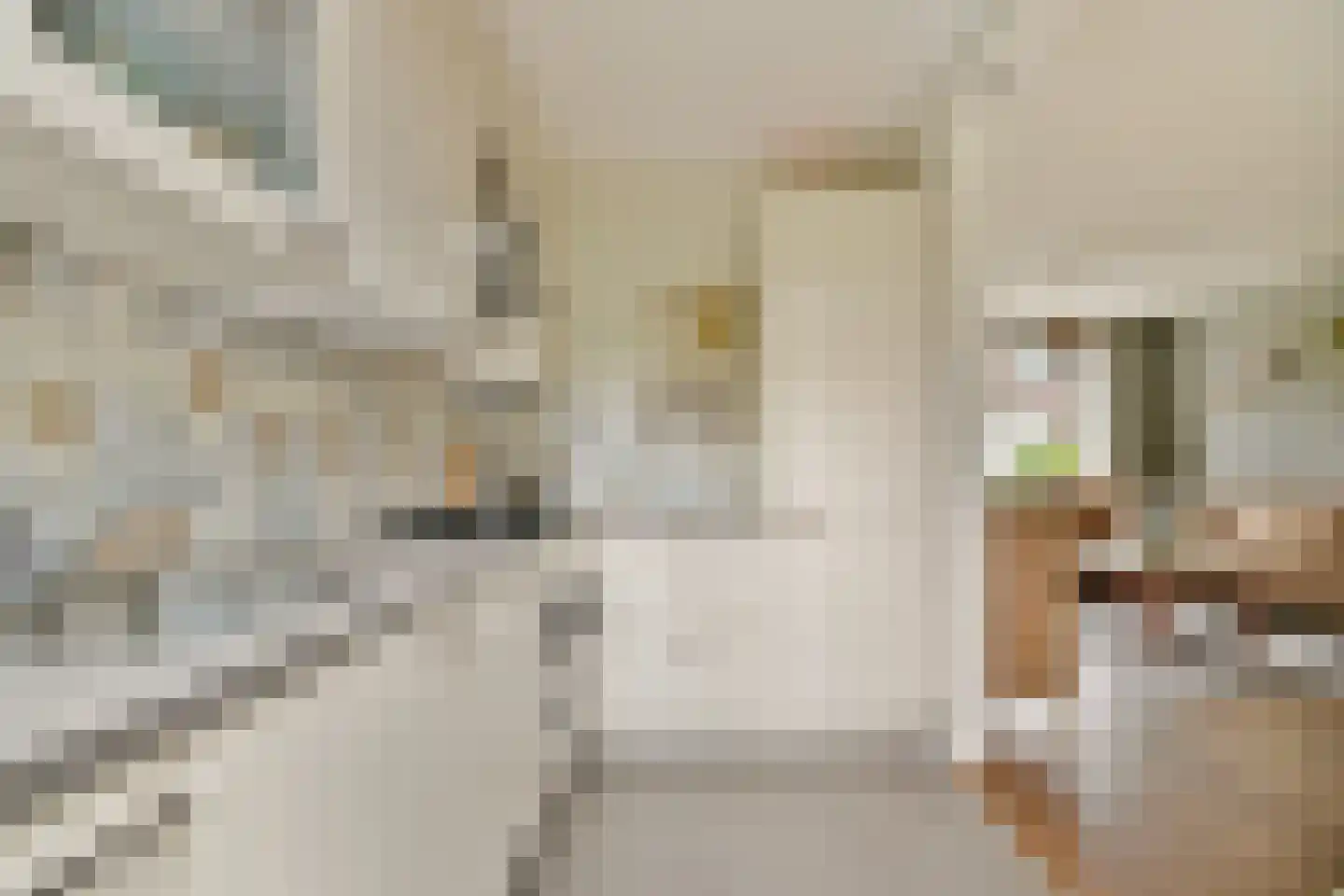Geraniumstraat 43 Vlaardingen thumbnail 12