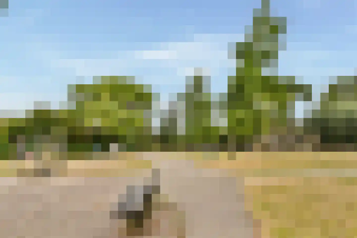 Geraniumstraat 43 Vlaardingen thumbnail 31
