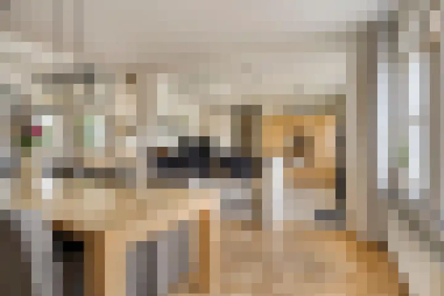 Geraniumstraat 44 Made thumbnail 30