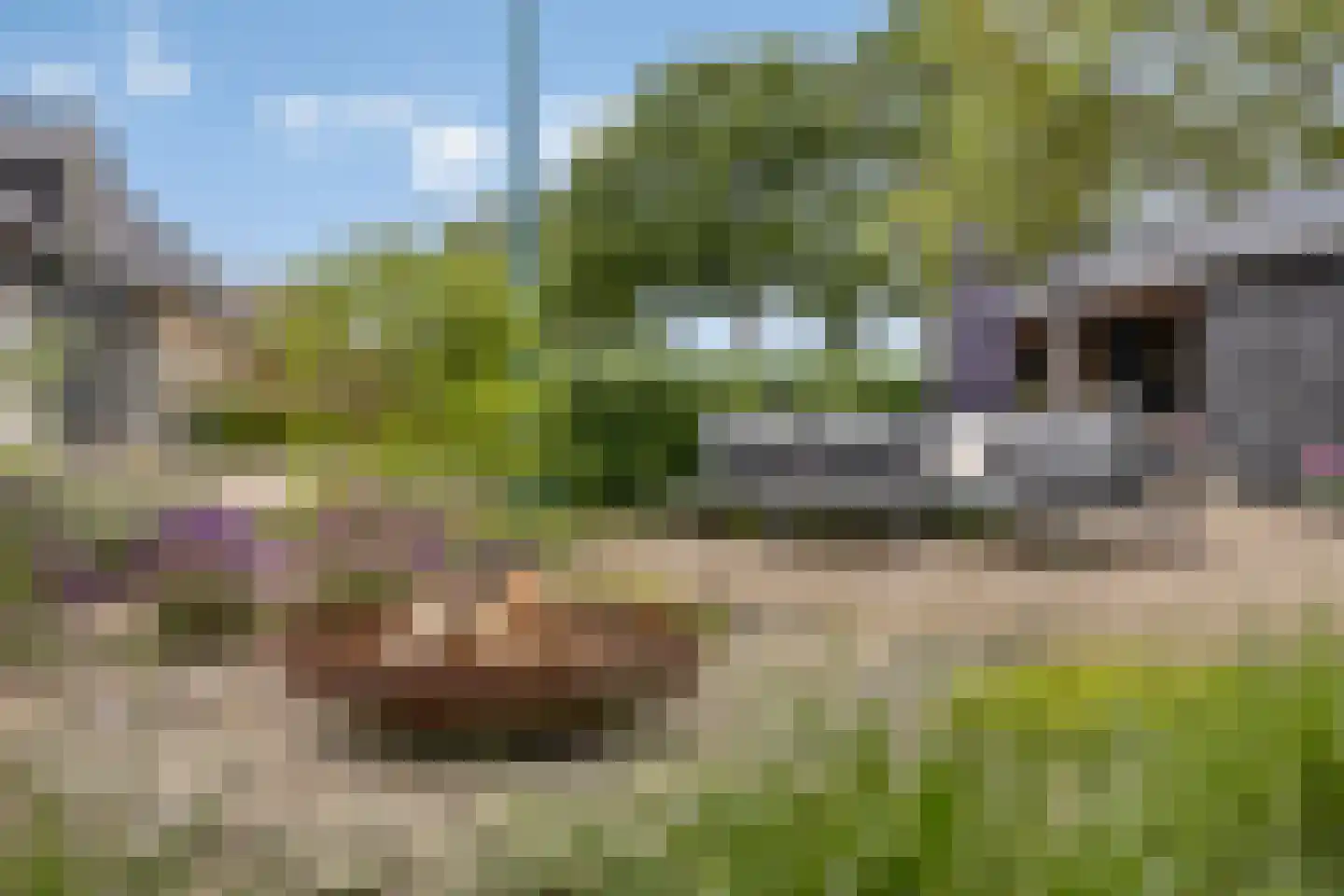 Geraniumstraat 44 Made thumbnail 67
