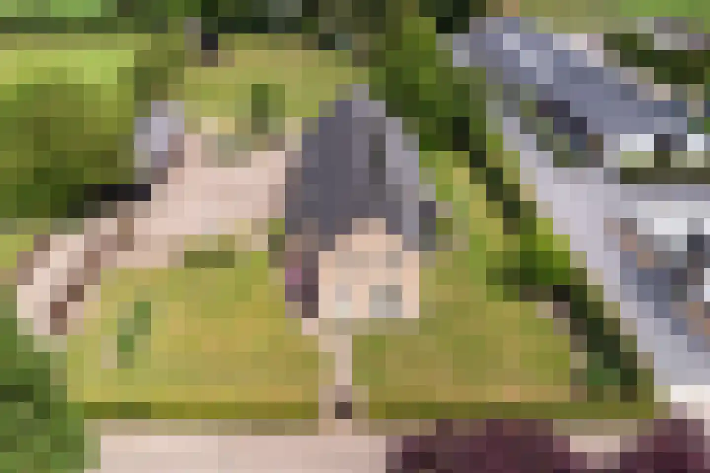 Geraniumstraat 44 Made thumbnail 72