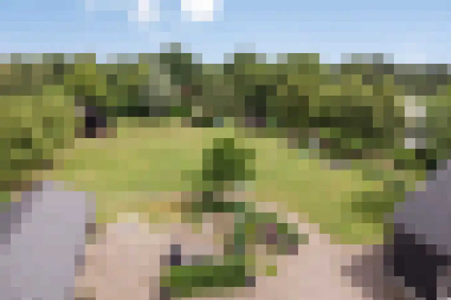 Geraniumstraat 44 Made thumbnail 74