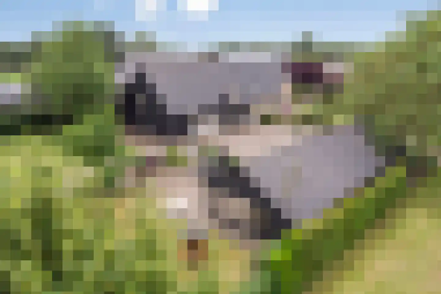 Geraniumstraat 44 Made thumbnail 8