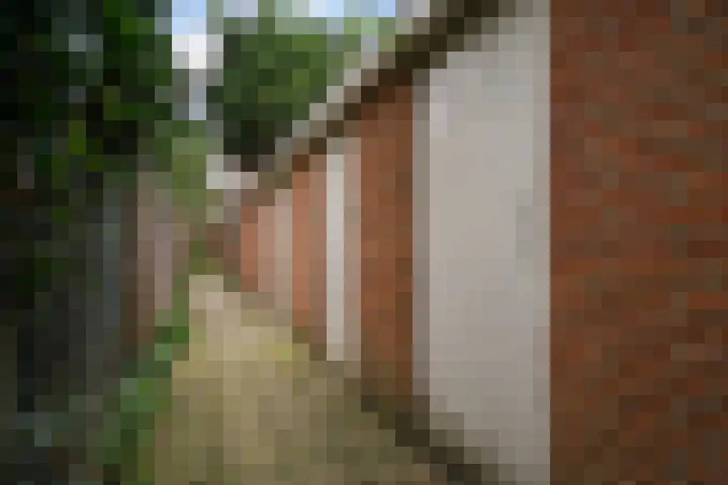 Geraniumstraat 45 Den Haag thumbnail 38
