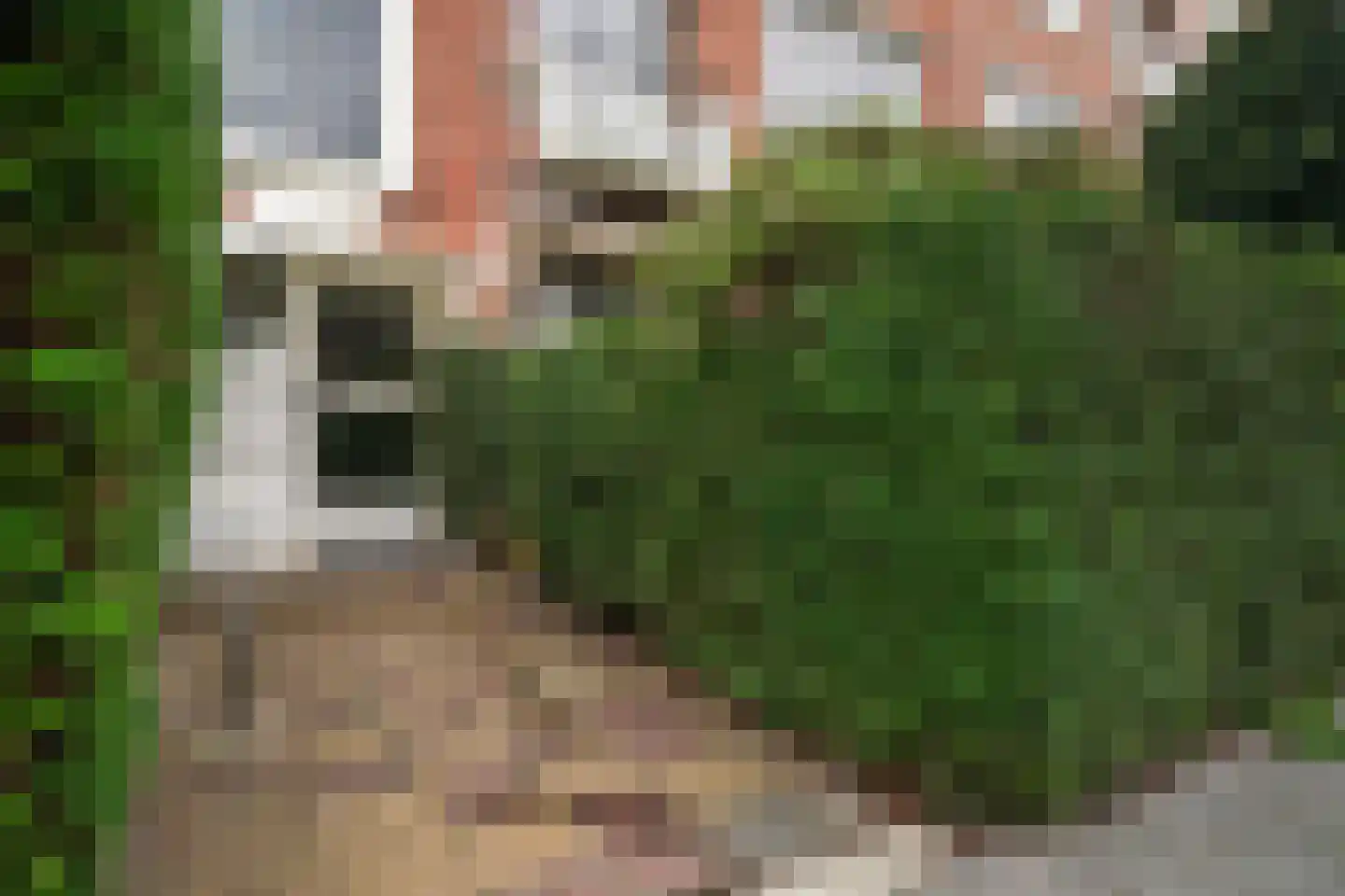 Geraniumstraat 45 Den Haag thumbnail 6