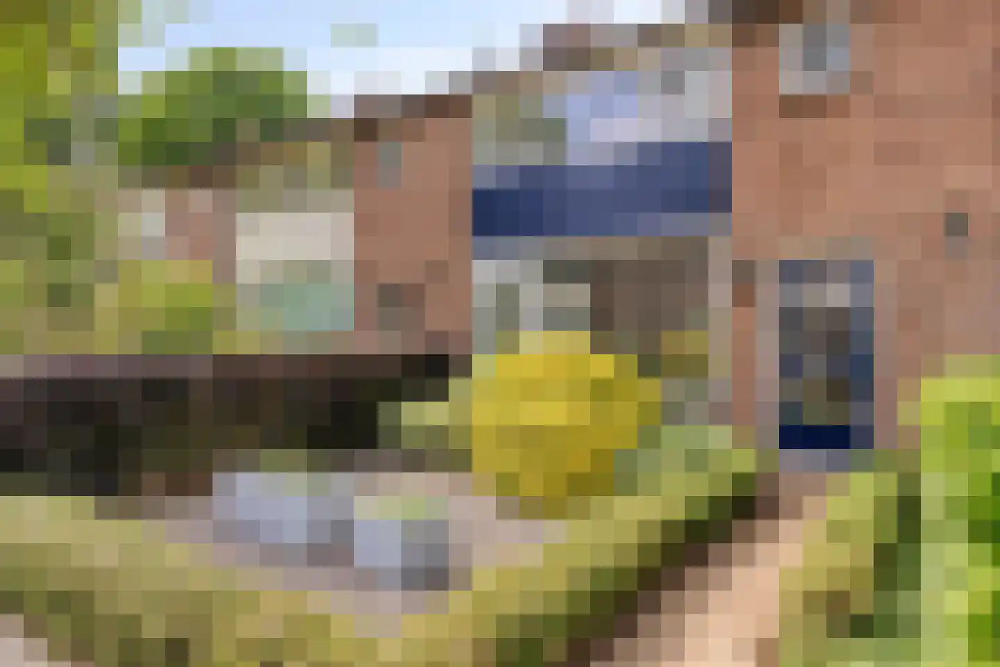 Geraniumstraat 48 Deventer thumbnail 6
