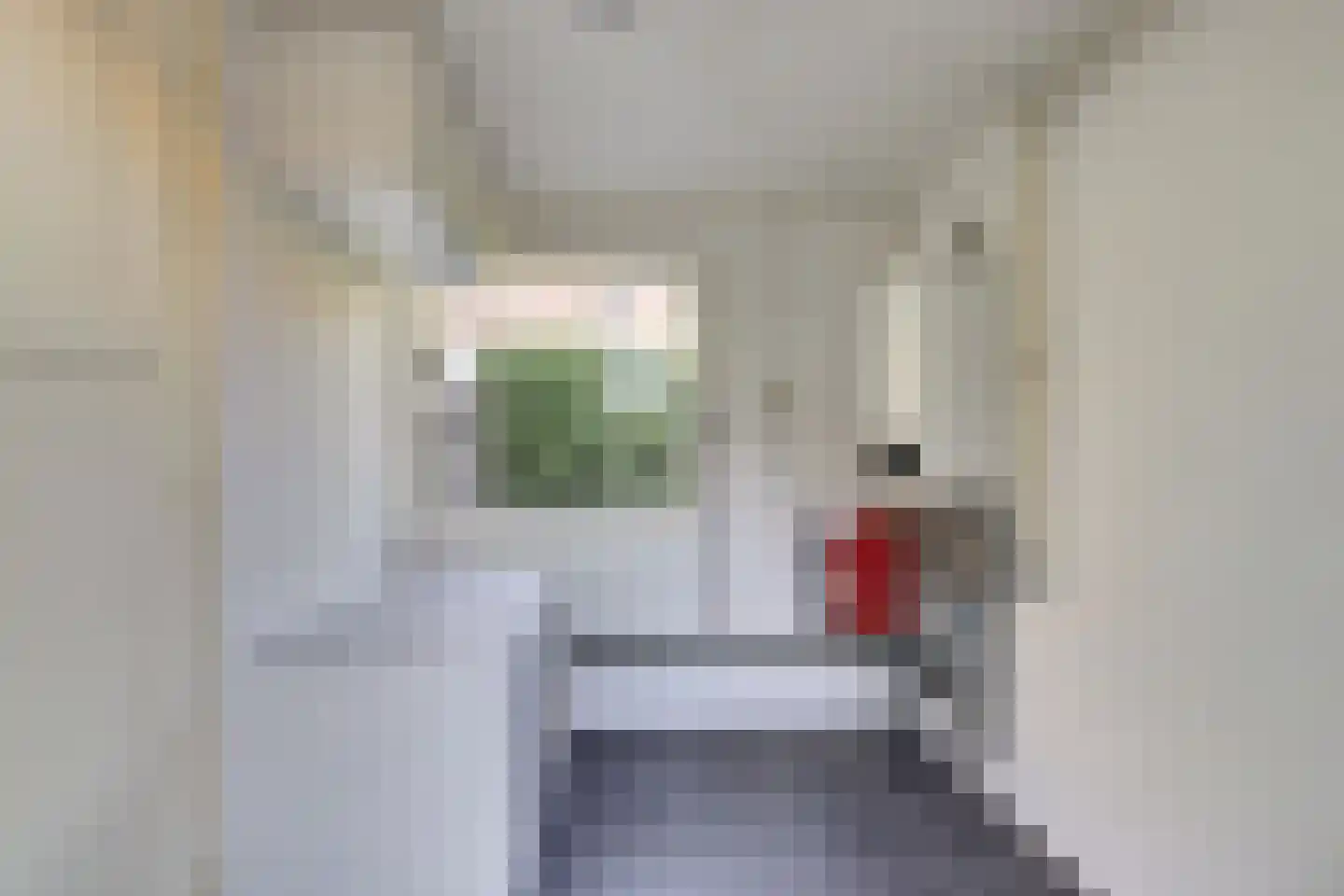 Geraniumstraat 6 Goes thumbnail 14