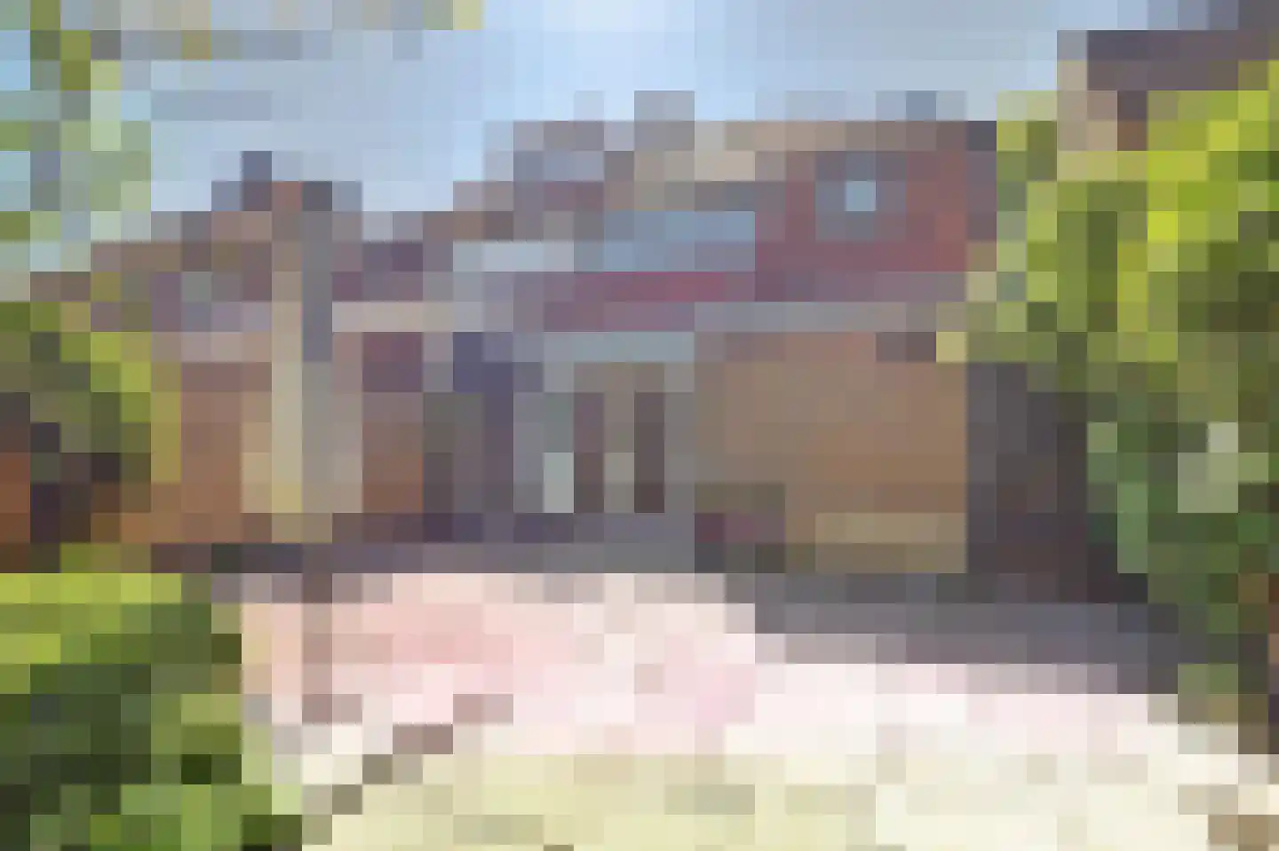 Geraniumstraat 6 Goes thumbnail 4