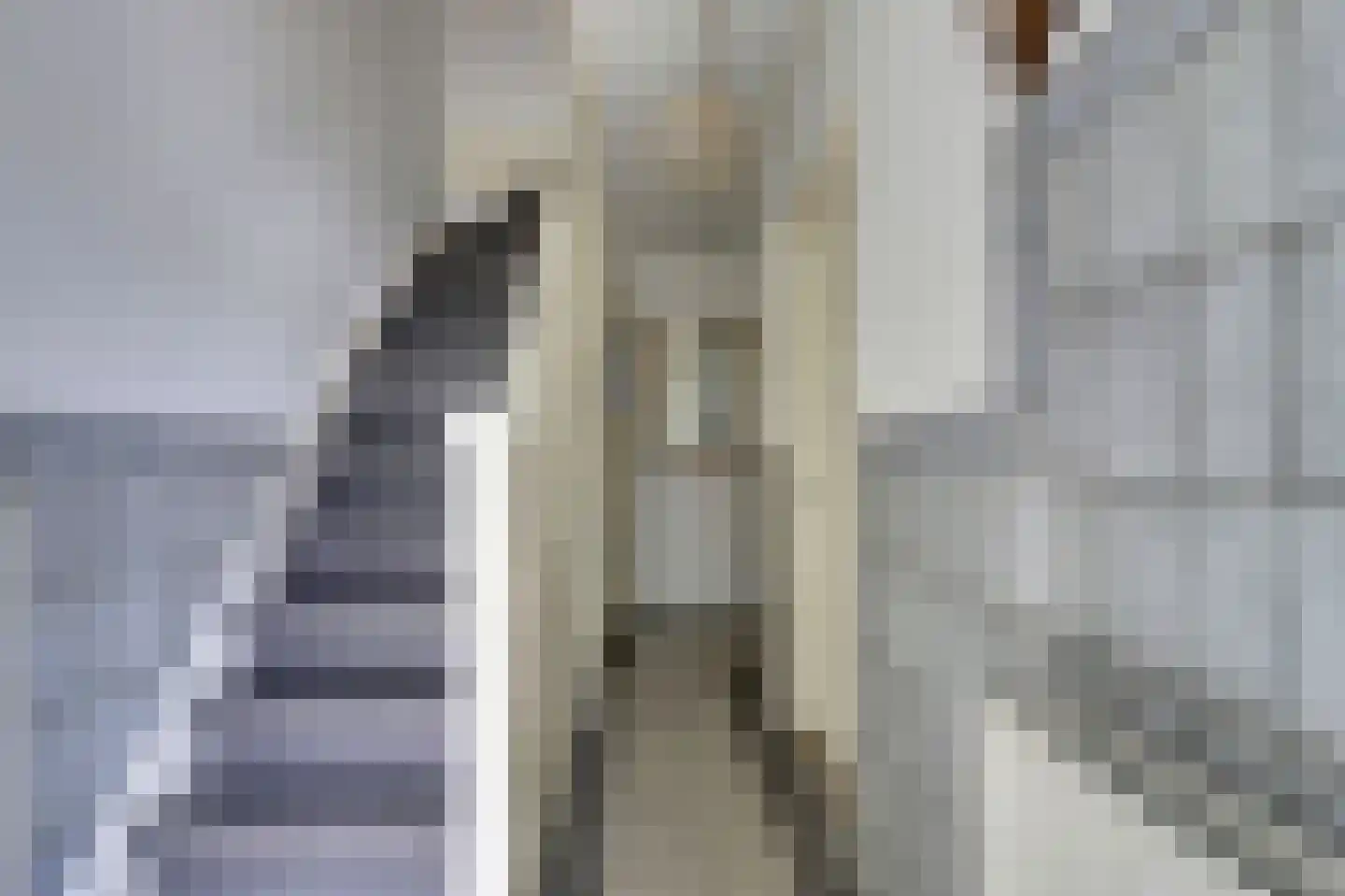 Geraniumstraat 6 Goes thumbnail 6