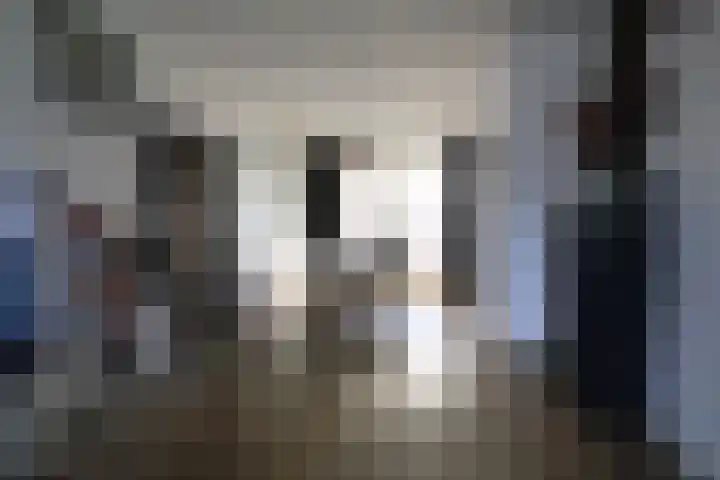 Geraniumstraat 6 Veghel thumbnail 4