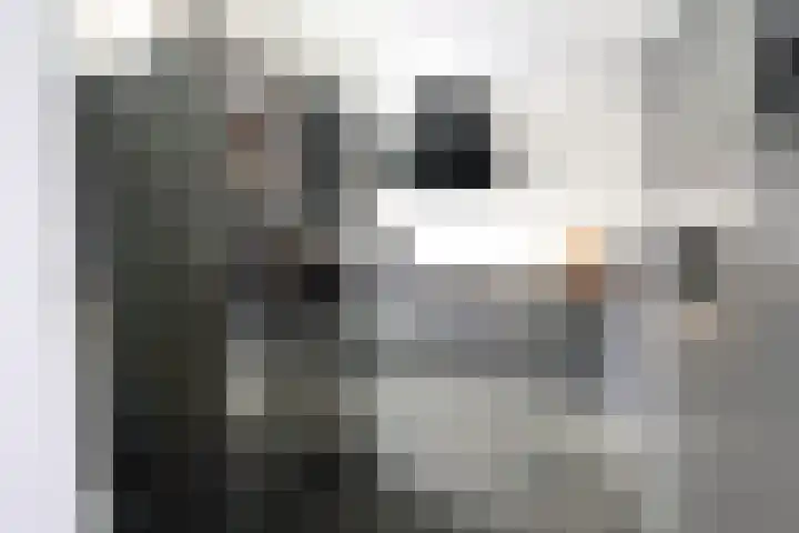 Geraniumstraat 6 Veghel thumbnail 6