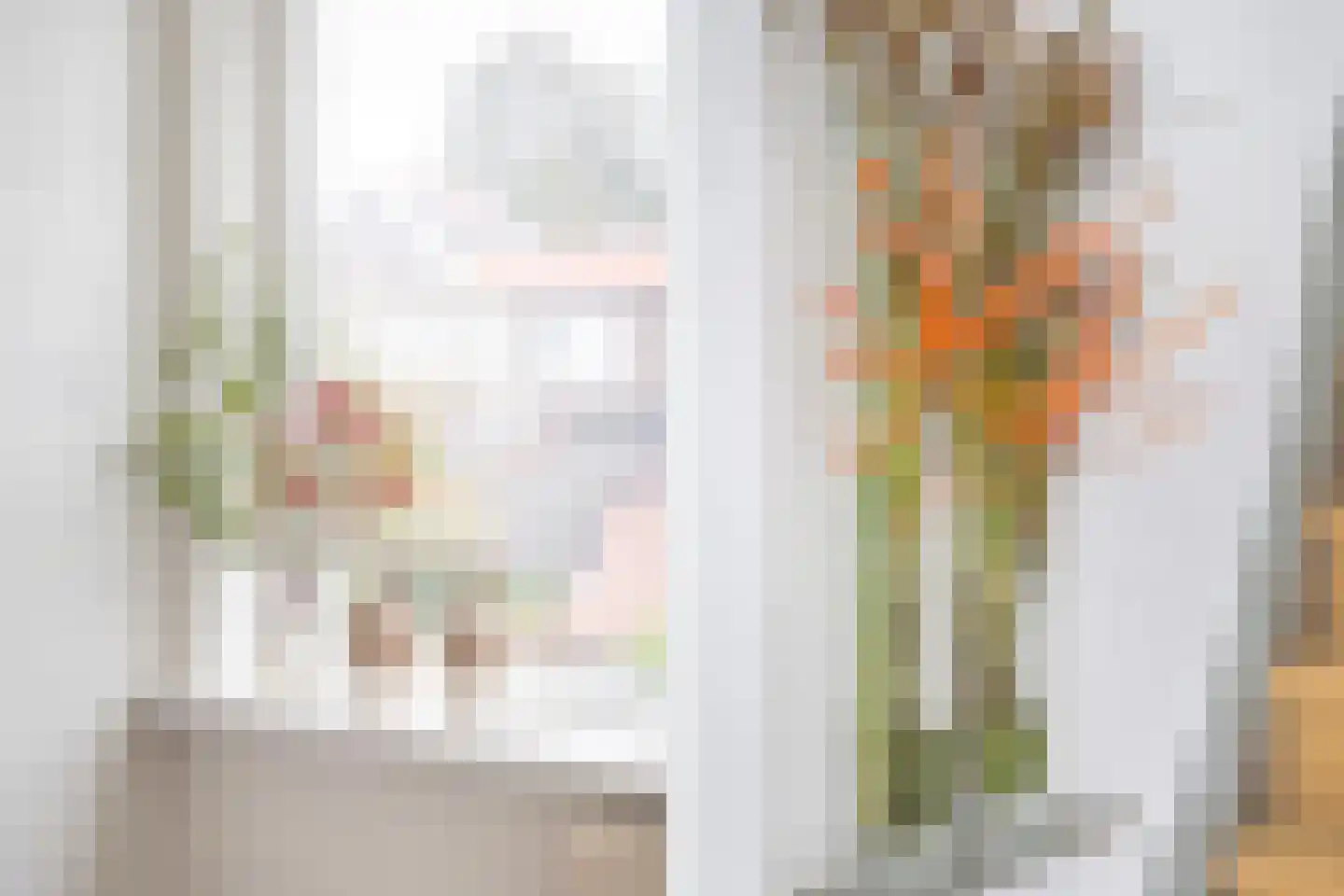Geraniumstraat 60 Zwolle thumbnail 21