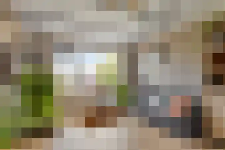 Geraniumstraat 7 B Spijkenisse thumbnail 10