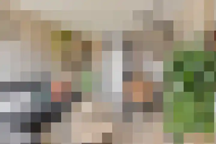 Geraniumstraat 7 B Spijkenisse thumbnail 11