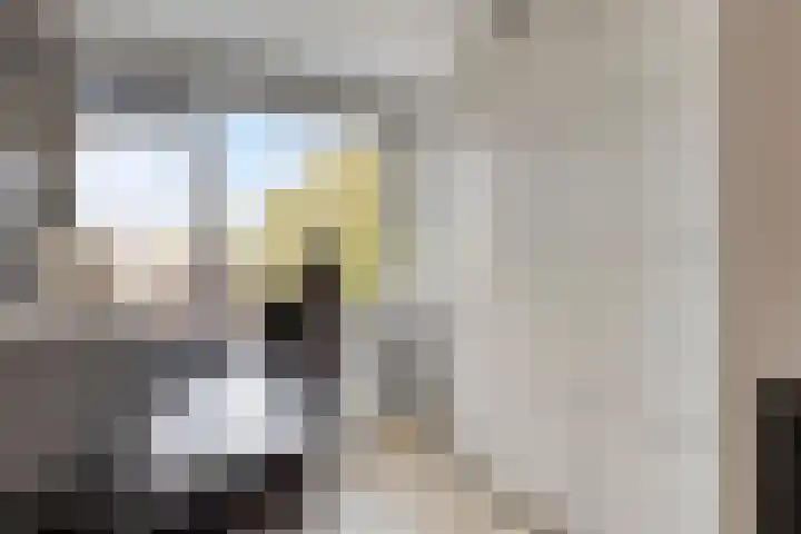 Geraniumstraat 7 B Spijkenisse thumbnail 19