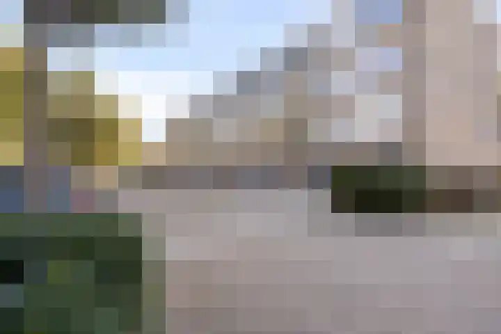 Geraniumstraat 7 B Spijkenisse thumbnail 4