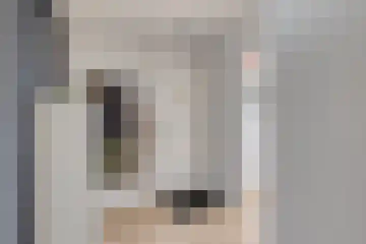 Geraniumstraat 7 B Spijkenisse thumbnail 6