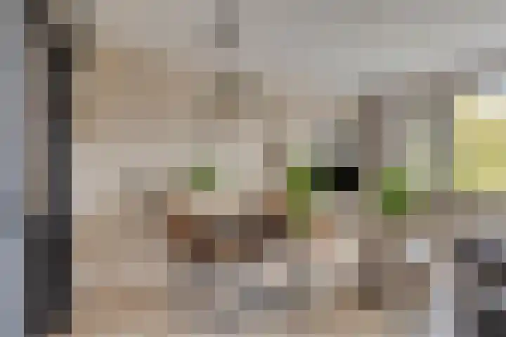 Geraniumstraat 7 B Spijkenisse thumbnail 9