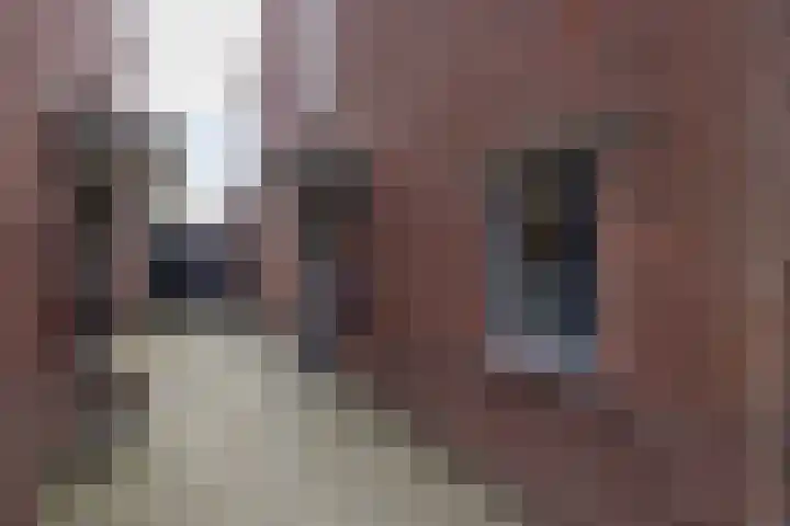 Geraniumstraat 9 Hengelo thumbnail 11