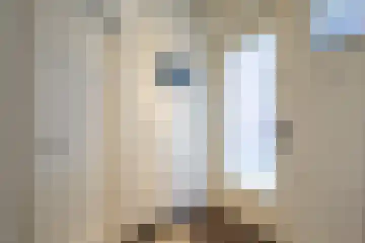Geraniumstraat 9 Hengelo thumbnail 31