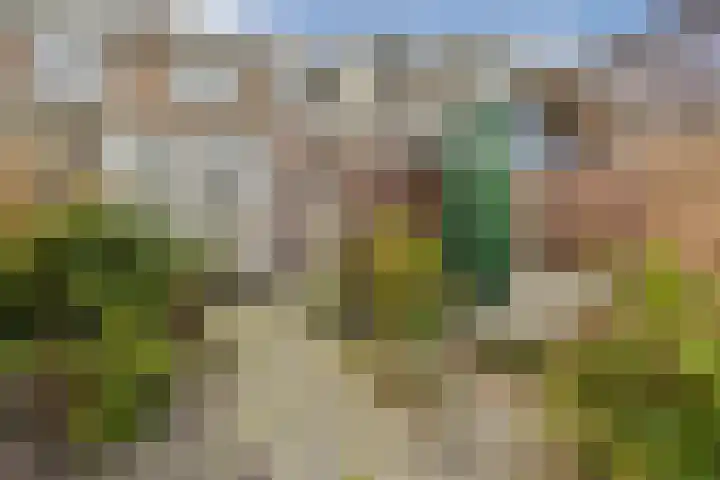 Geraniumstraat 9 Vlaardingen thumbnail 12