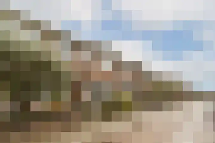 Geraniumstraat 9 Vlaardingen thumbnail 4