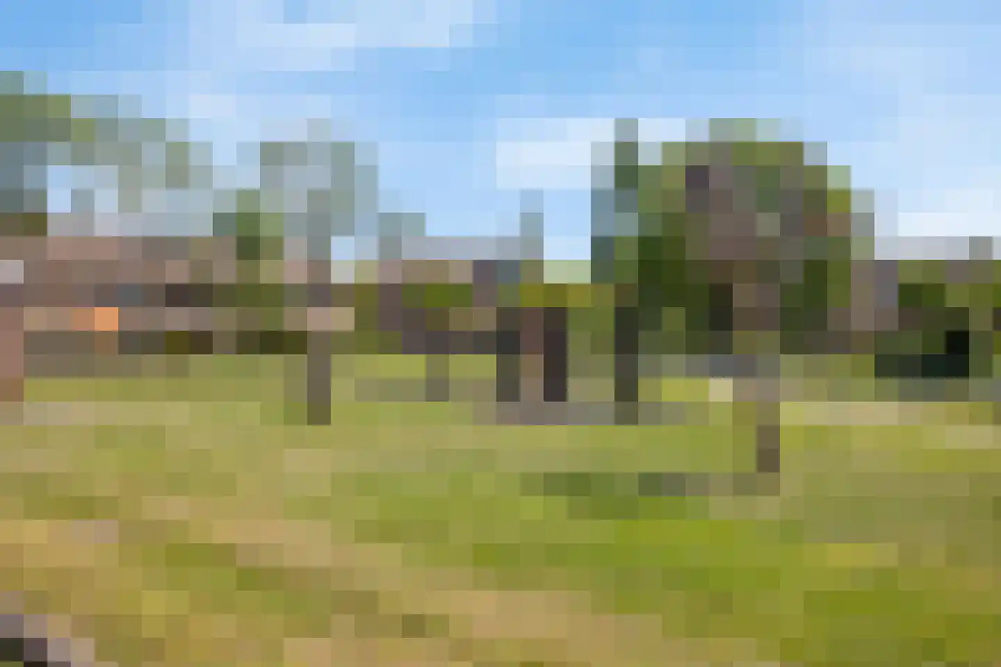 Geraniumveld 26 Nieuwerkerk aan den IJssel thumbnail 41