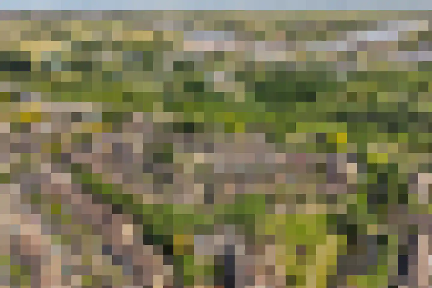 Geraniumveld 26 Nieuwerkerk aan den IJssel thumbnail 43