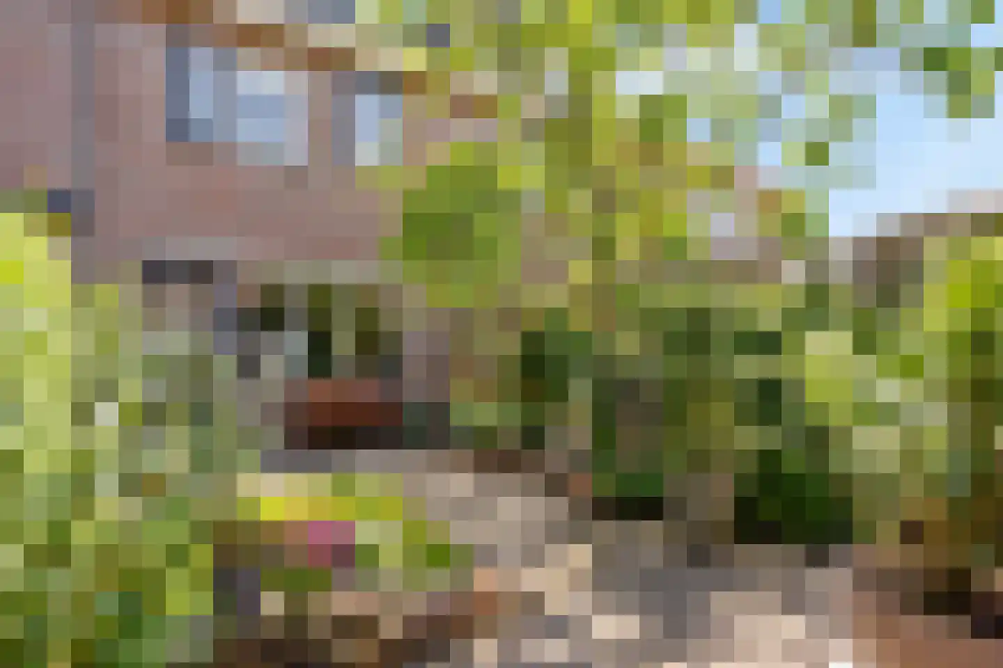 Geraniumveld 26 Nieuwerkerk aan den IJssel thumbnail 6