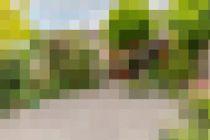 Geraniumveld 33 Nieuwerkerk aan den IJssel thumbnail 28