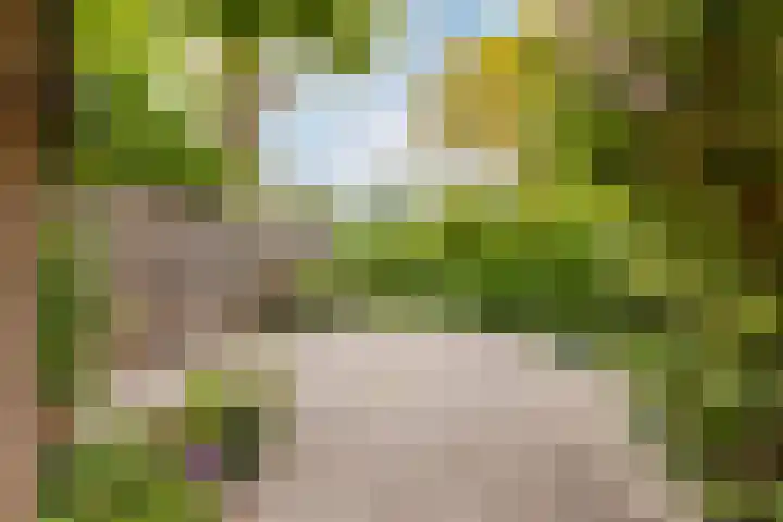 Geraniumveld 33 Nieuwerkerk aan den IJssel thumbnail 5