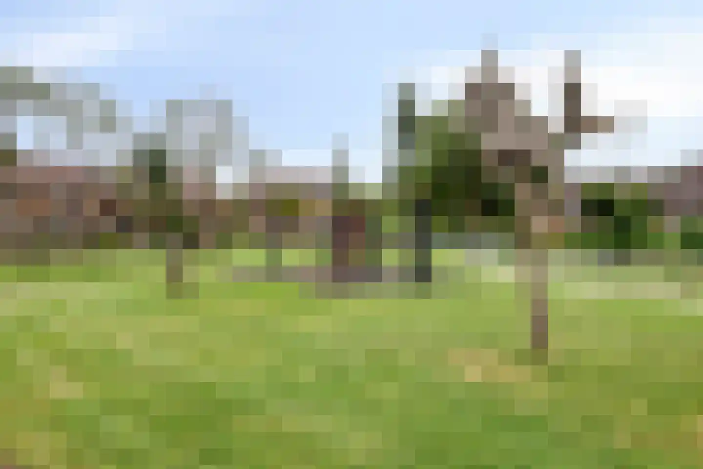 Geraniumveld 6 Nieuwerkerk aan den IJssel thumbnail 39
