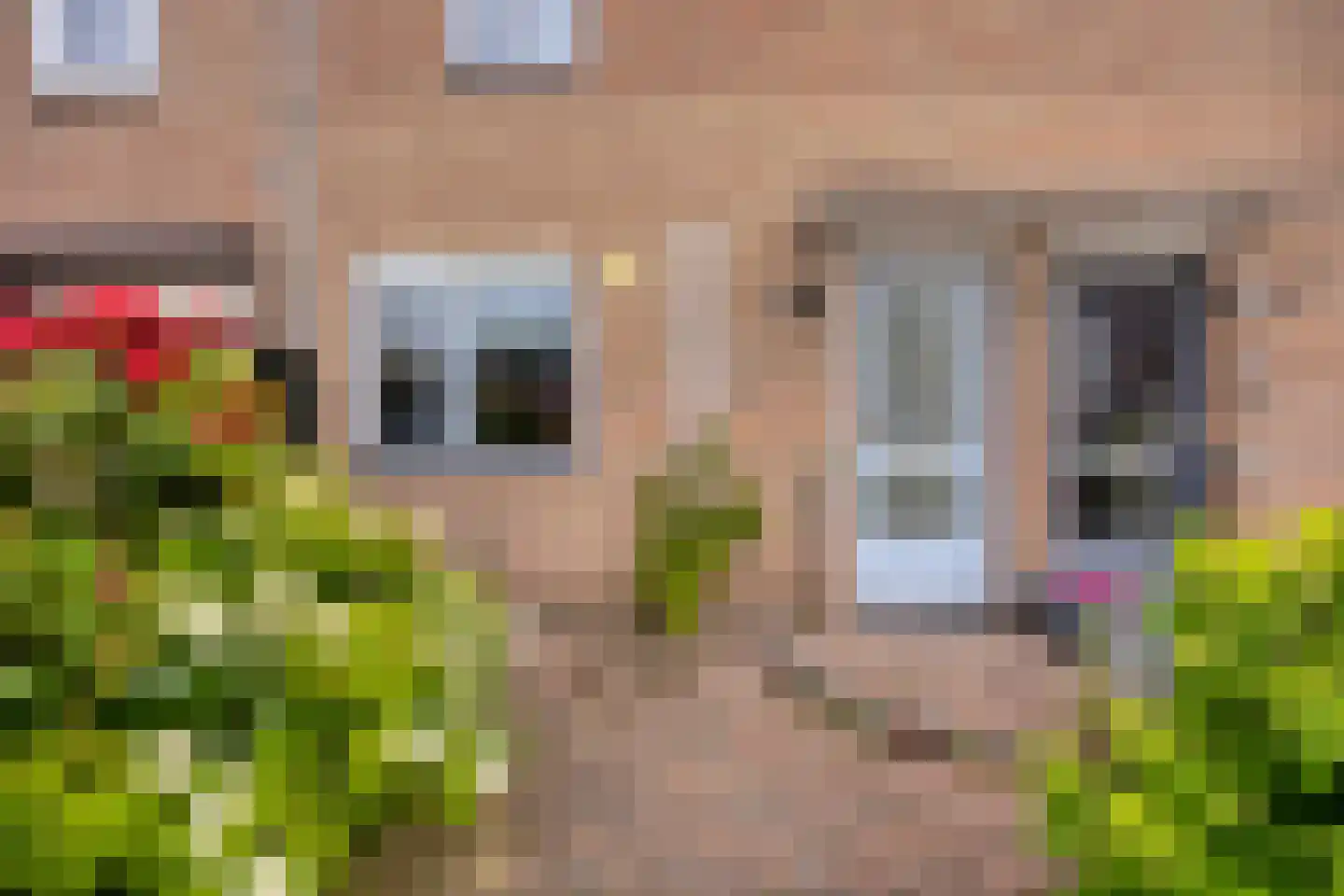 Geraniumveld 6 Nieuwerkerk aan den IJssel thumbnail 4