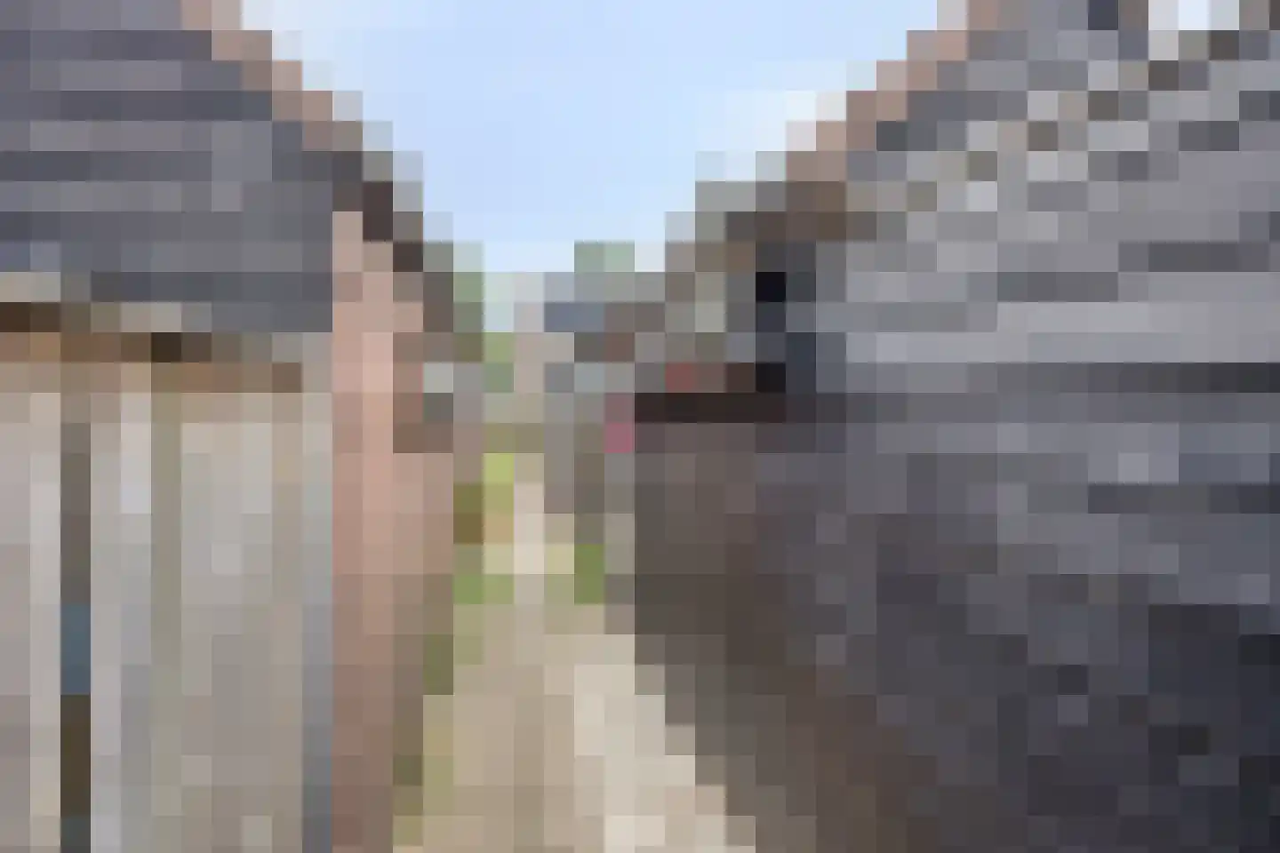 Geraniumveld 6 Nieuwerkerk aan den IJssel thumbnail 42