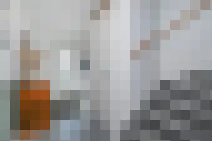 Gerard Bleekerstraat 19 Waddinxveen thumbnail 8