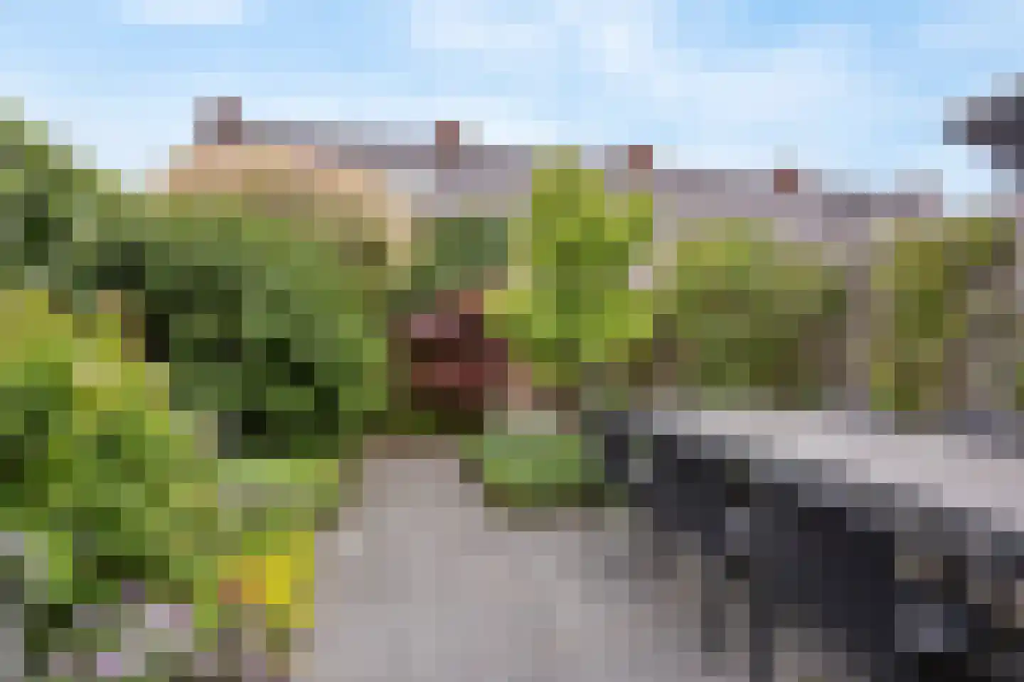 Gerard Bleekerstraat 57 Waddinxveen thumbnail 11