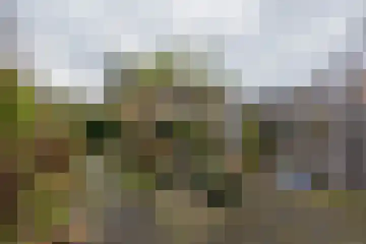 Gerard Boedijnpad 17 Oegstgeest thumbnail 13
