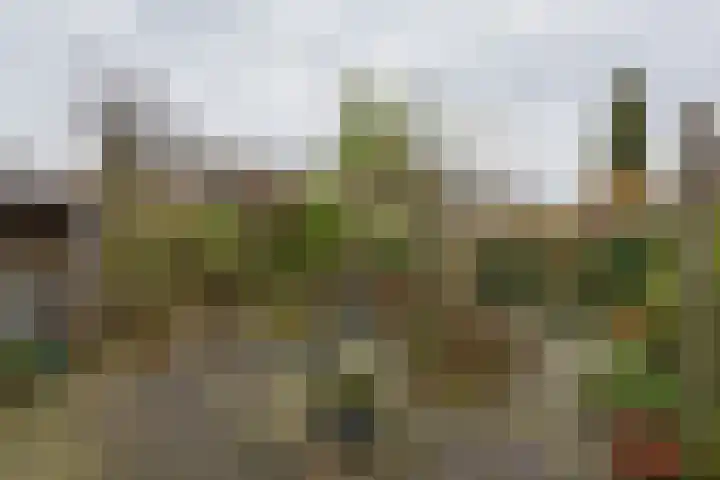 Gerard Boedijnpad 17 Oegstgeest thumbnail 14