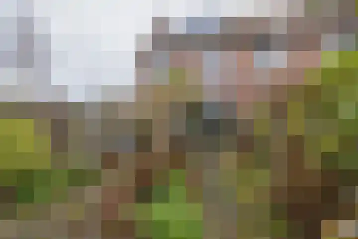 Gerard Boedijnpad 17 Oegstgeest thumbnail 15