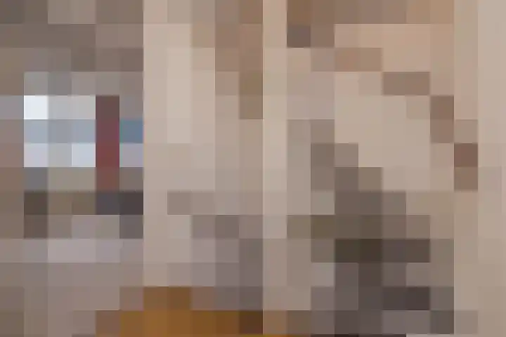 Gerard Boedijnpad 17 Oegstgeest thumbnail 18