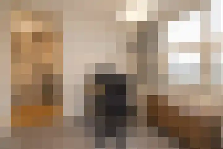 Gerard Boedijnpad 17 Oegstgeest thumbnail 25