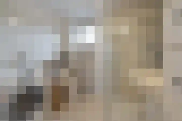 Gerard Boedijnpad 17 Oegstgeest thumbnail 26