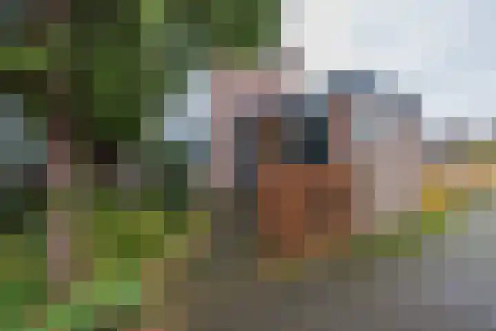 Gerard Boedijnpad 17 Oegstgeest thumbnail 4