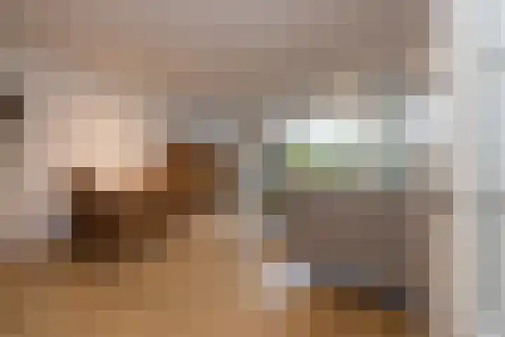 Gerard Boedijnpad 17 Oegstgeest thumbnail 6